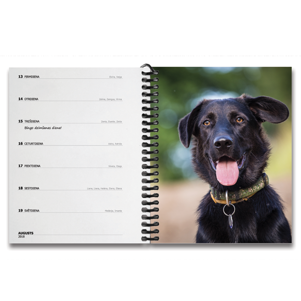 Personalized planner